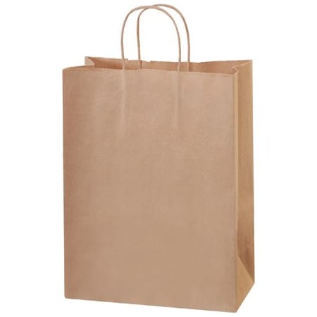 Bsc Preferred 10 x 5 x 13'' Kraft Paper Shopping Bags, 250PK BUY00029637
